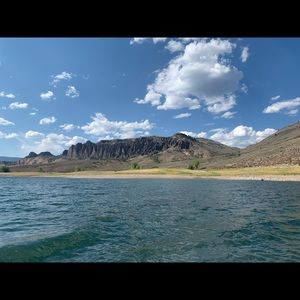 Meet your Posher, Holly